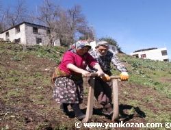 Anadolu'dan Grnm